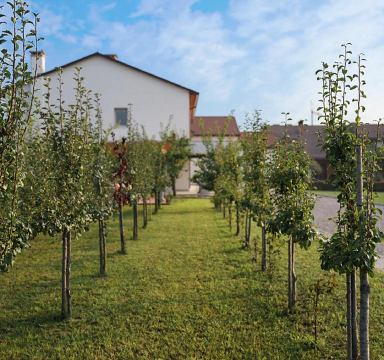 Agriturismo Corte Foscara Malcontenta Exterior photo